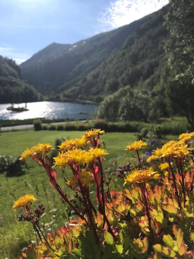 Vila Trolltunga Skjeggedal Exteriér fotografie